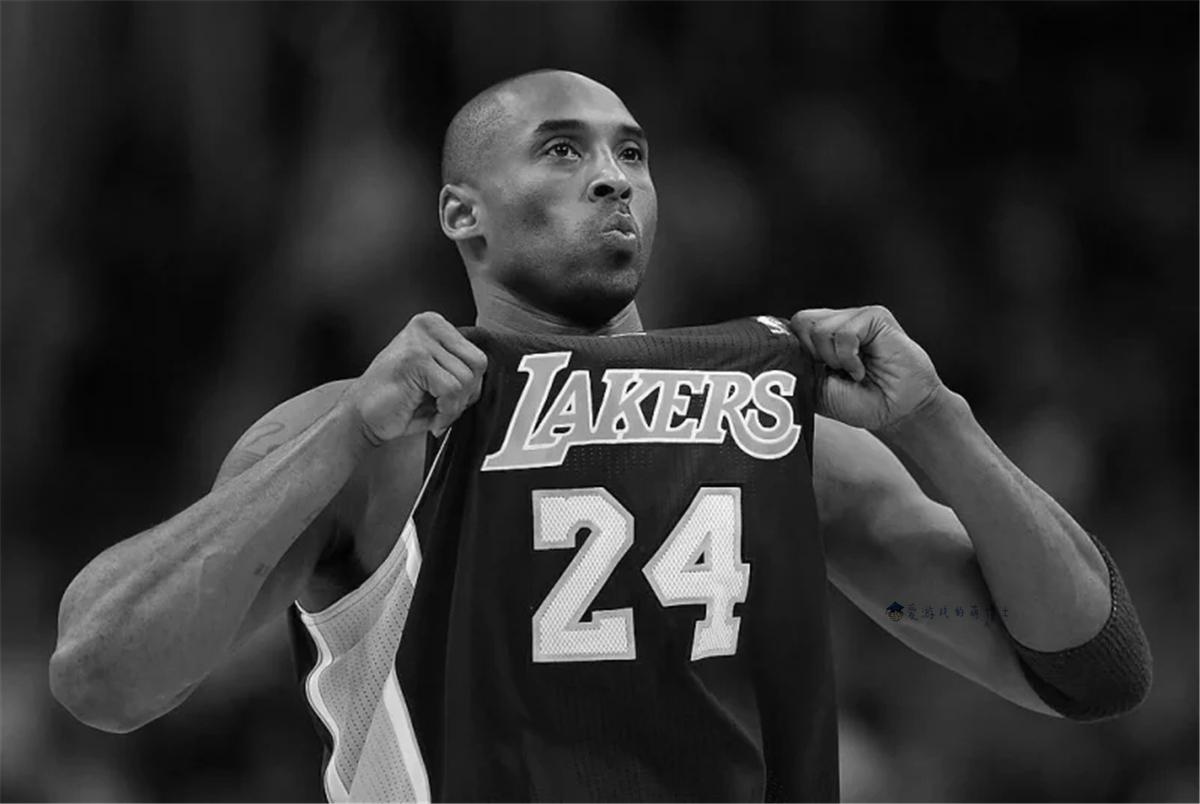 本届 本届